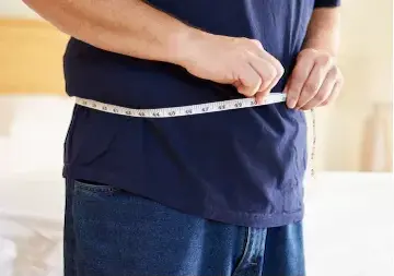 Curso de Nutrición para Cuerpos Endomorfos